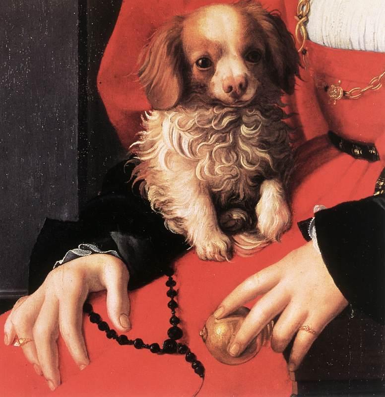 BRONZINO, Agnolo Portrait of a Lady with a Puppy (detail) fg